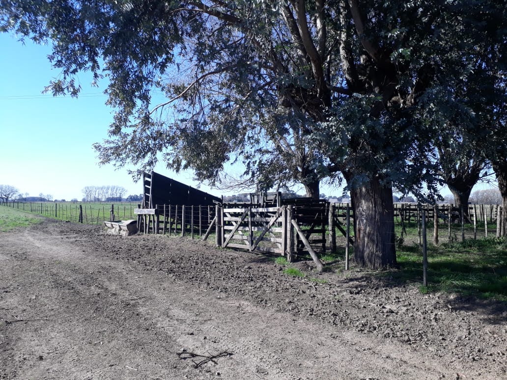 Campo en Venta en Lobos (27 Has)