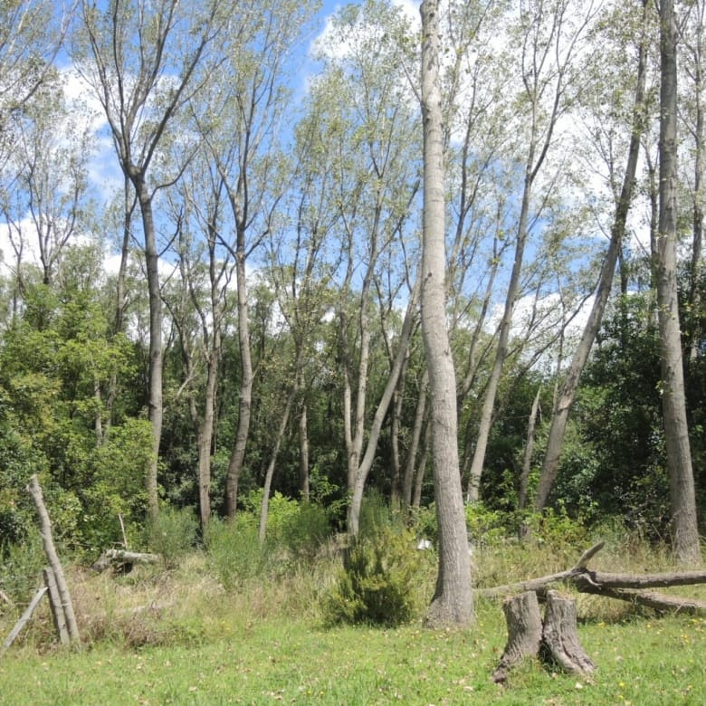 Chacra en Venta en Ruta 30, Lobos (2 Dorm – 6 Has)