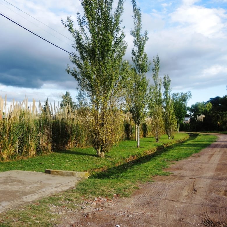Casa Quinta con Pileta en Venta en Barrio Las Palmas, Lobos (3 Dorm – 1300 m²)