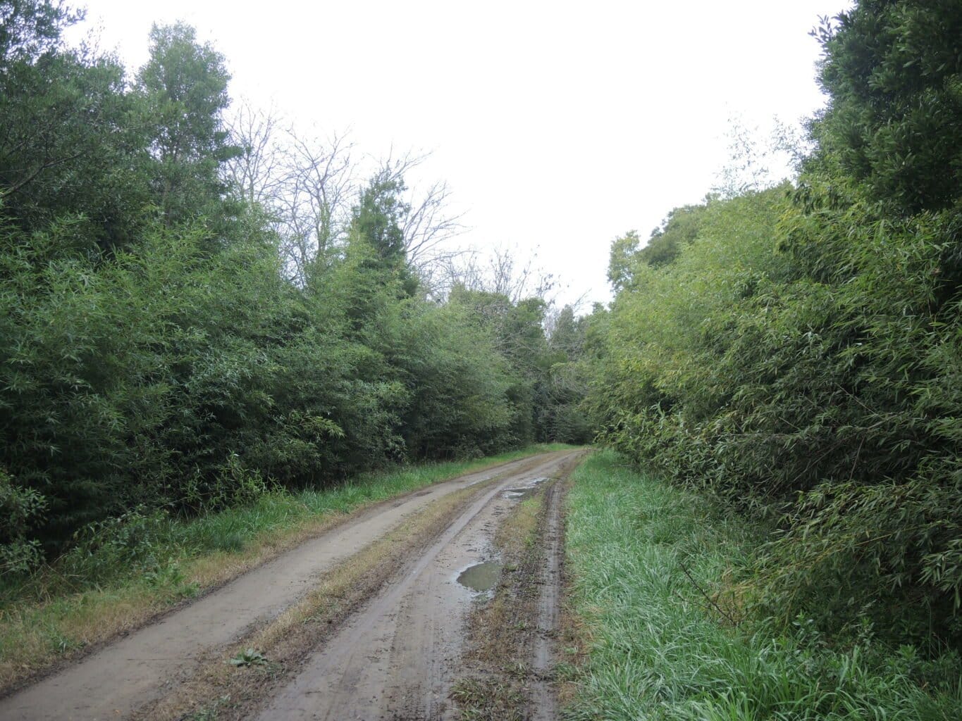 Chacra de 20 Hectáreas en Venta en Lobos – A 4 km de Ruta 41