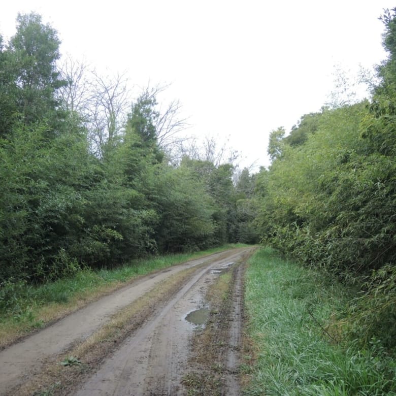 Chacra de 20 Hectáreas en Venta en Lobos – A 4 km de Ruta 41