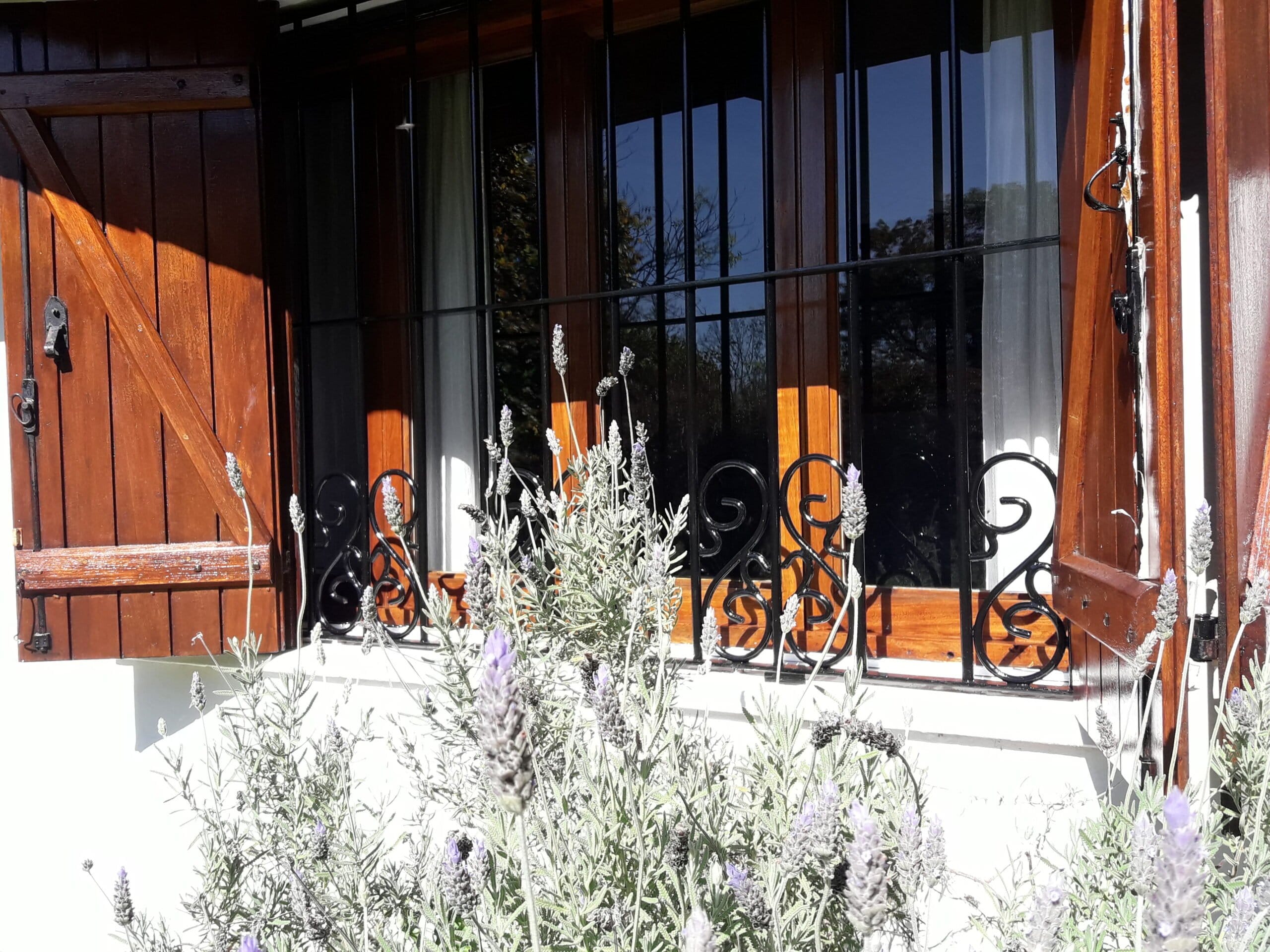 Hermosa Casa quinta en Lobos, con importante forestación. 1 hectárea