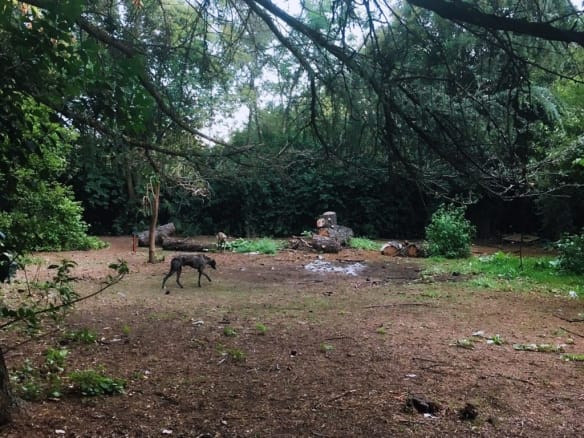 Lote en Venta en Salgado, Lobos Centro (300 m²)