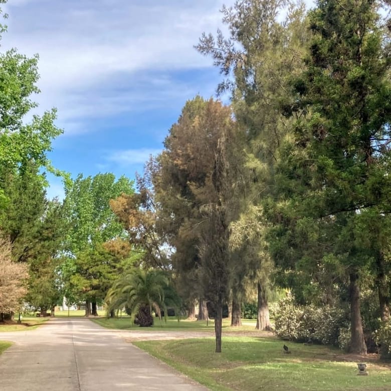 Lotes en Venta en Club de Campo La Federala, Lobos (800 m²)