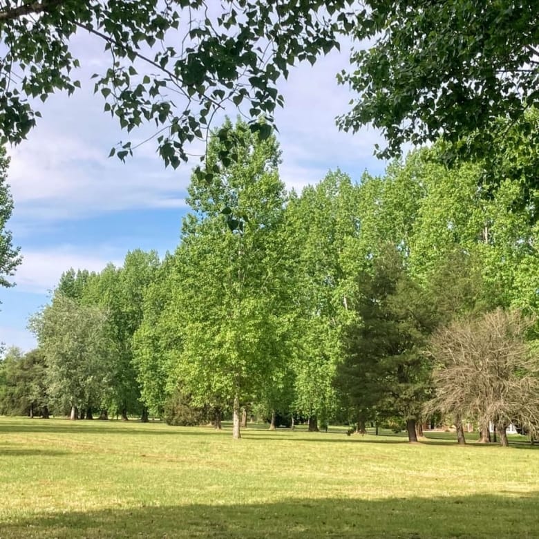 Lotes en Venta en Club de Campo La Federala, Lobos (800 m²)