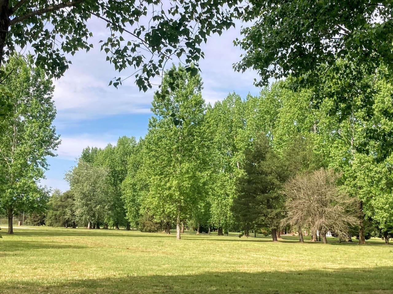 Lotes en Venta en Club de Campo La Federala, Lobos (800 m²)