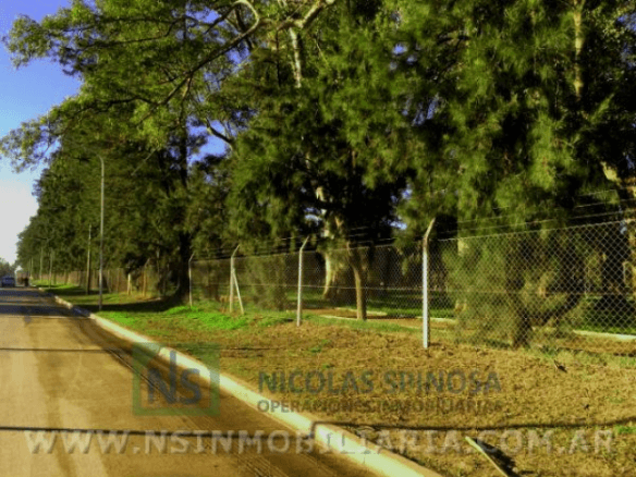 Lote en Venta en Lobos Centro (2000 m²)