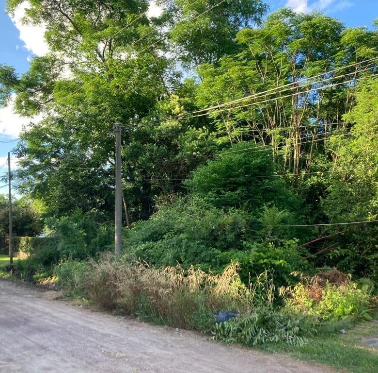 Lote en Venta en Laguna de Lobos (800 m²)