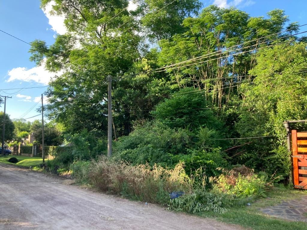 Lote en Venta en Laguna de Lobos (800 m²)