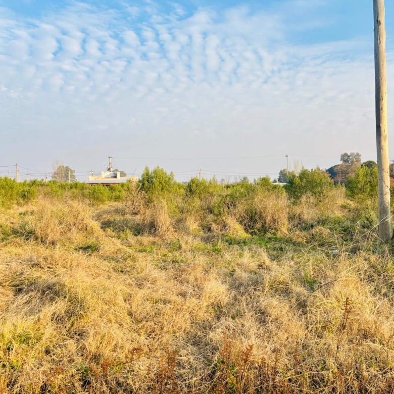 Lotes en Venta en Barrio Los Pasteleros, Lobos