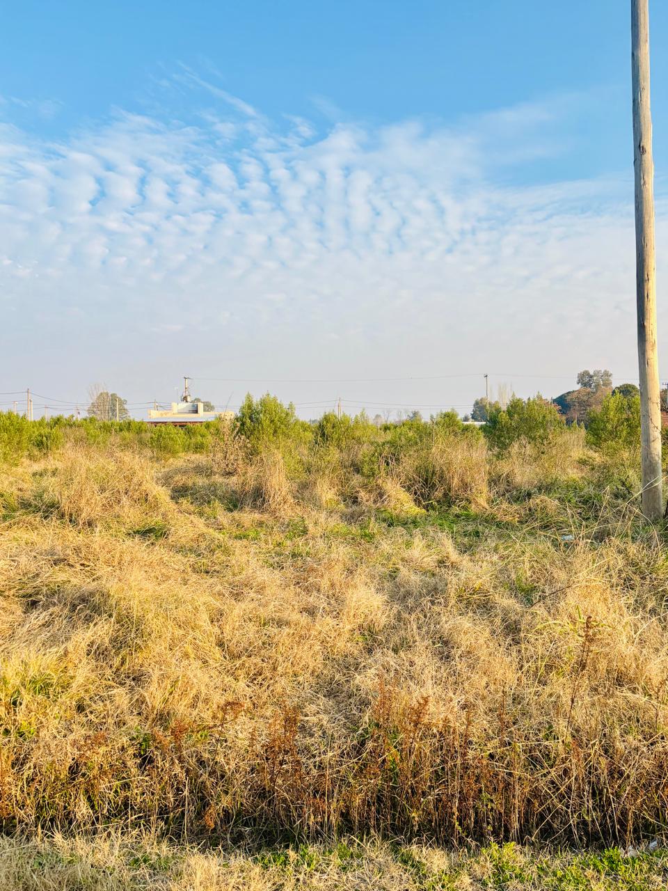 Lotes en Venta en Barrio Los Pasteleros, Lobos