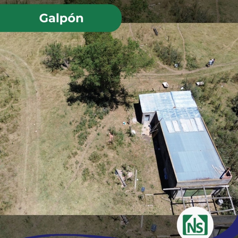 Campo en Venta en Zapiola, Lobos (12 Has)