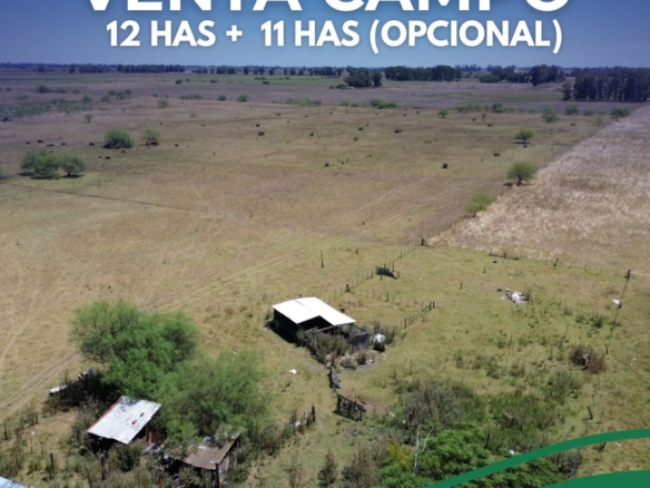 Campo de 12 Has Venta en ZAPIOLA – Buenos Aires