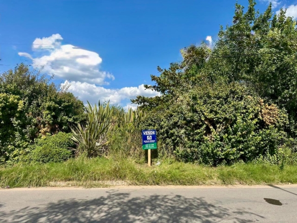 Lote en Venta en Lobos (181 m²)
