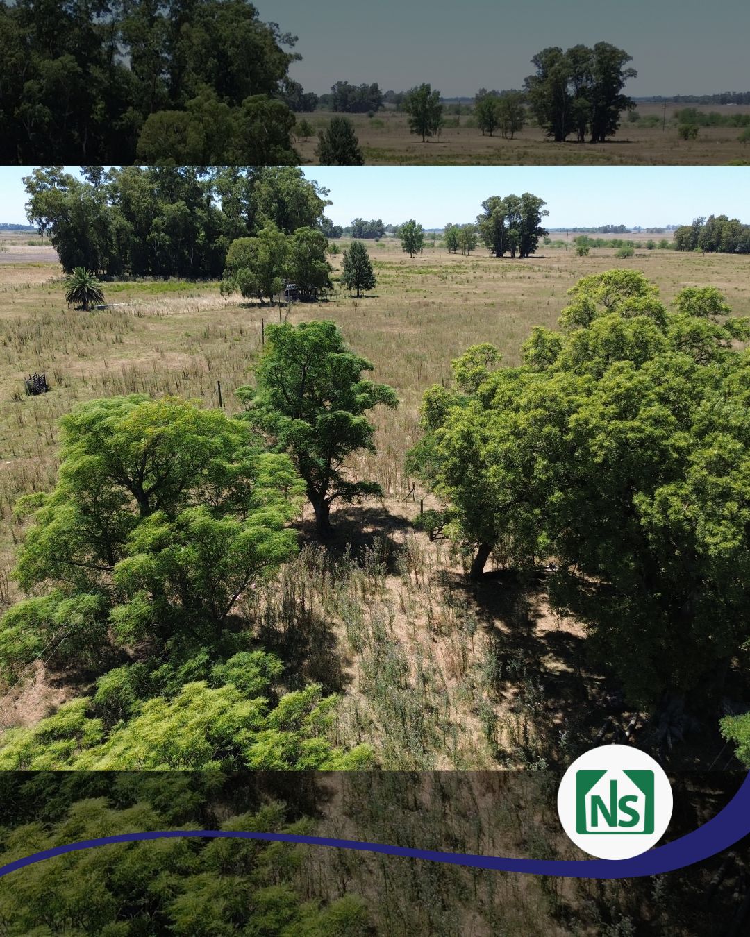 Campo en Venta en Zapiola, Lobos (12 Has)