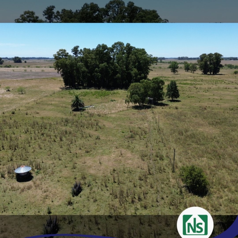 Campo en Venta en Zapiola, Lobos (12 Has)