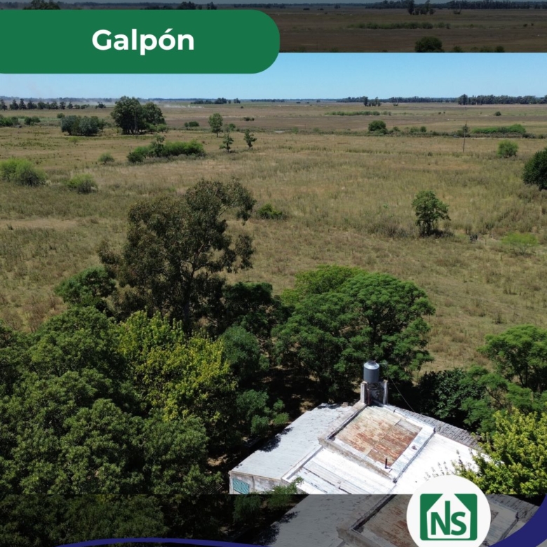 Campo en Venta en Zapiola, Lobos (12 Has)